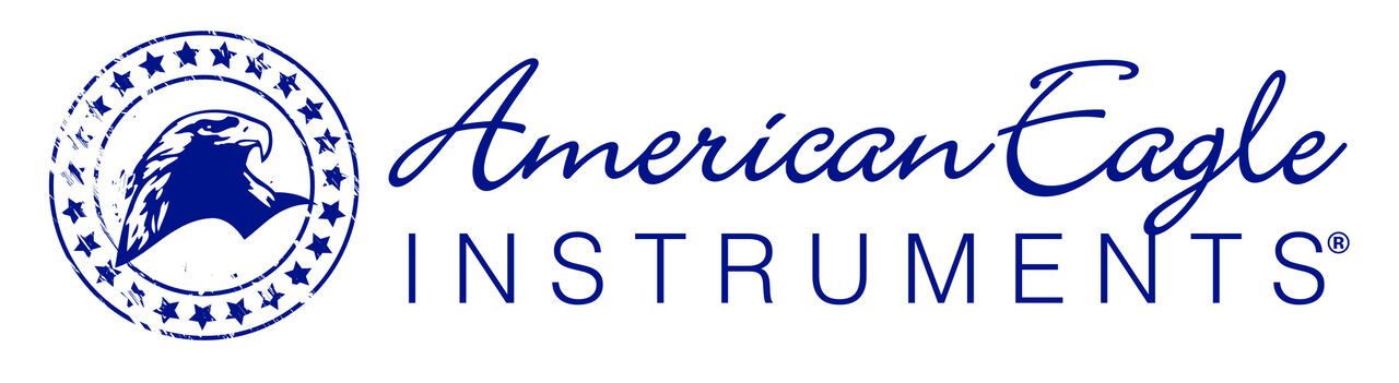 AEI-Logo-Horizontal-RGB.svg
