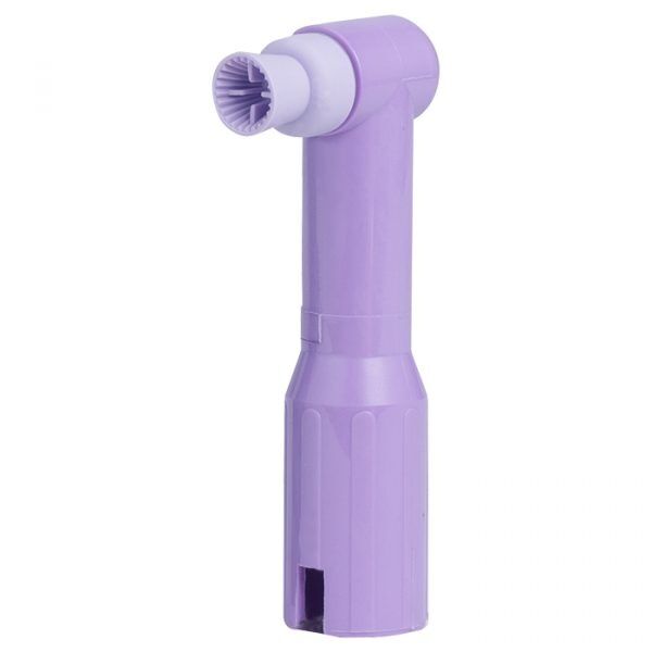 denticator-denticolors-prophy-angle-purple-502850-502814-600x600 Young Innovations