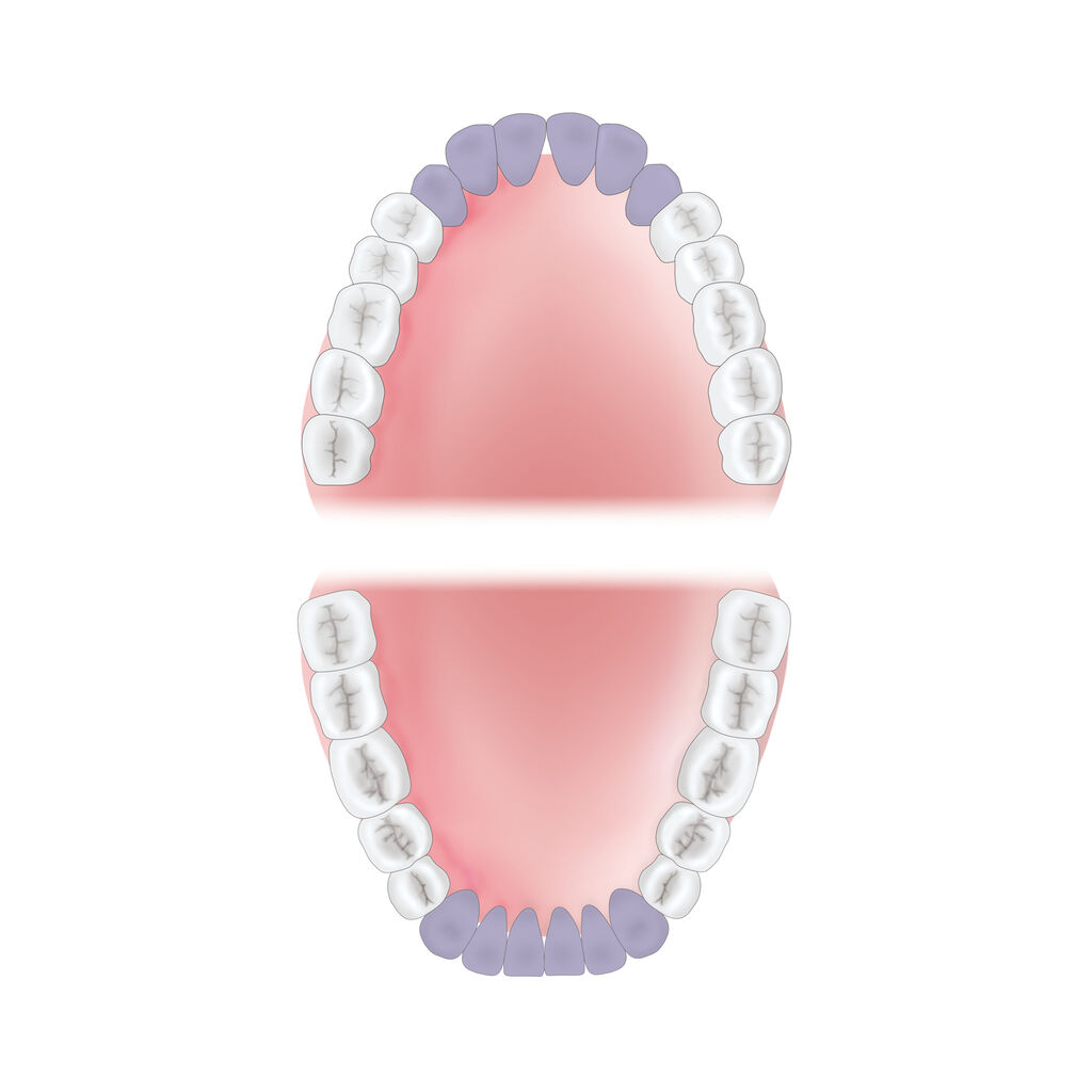mouth-area-anterior Young Innovations