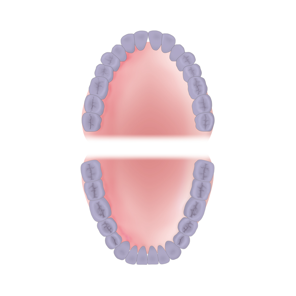 mouth-area-full Young Innovations