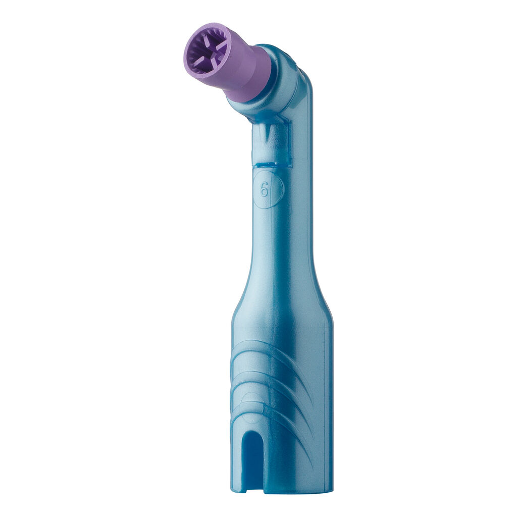 vera-contra-petite-web-latex-free-prophy-angle-left Young Innovations
