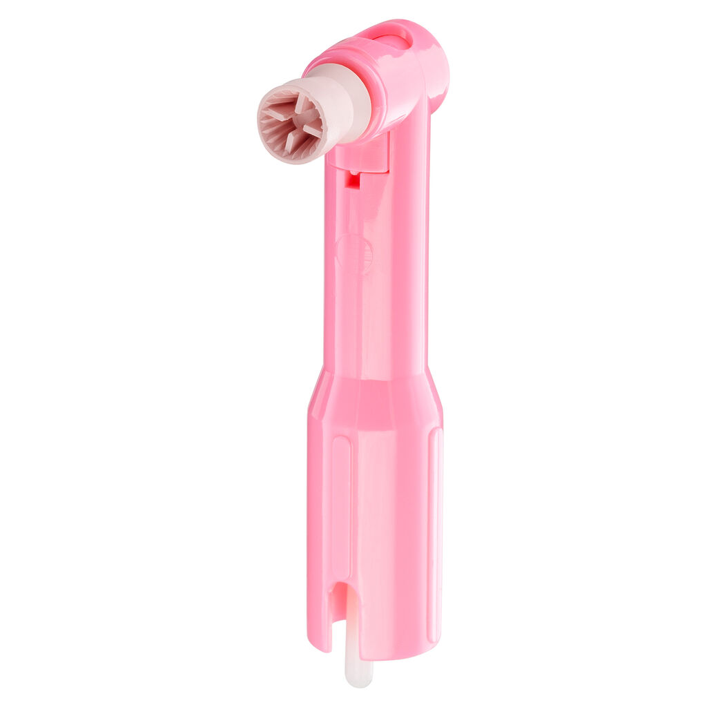 young-classic-pink-petite-web-latex-free-prophy-angle Young Innovations