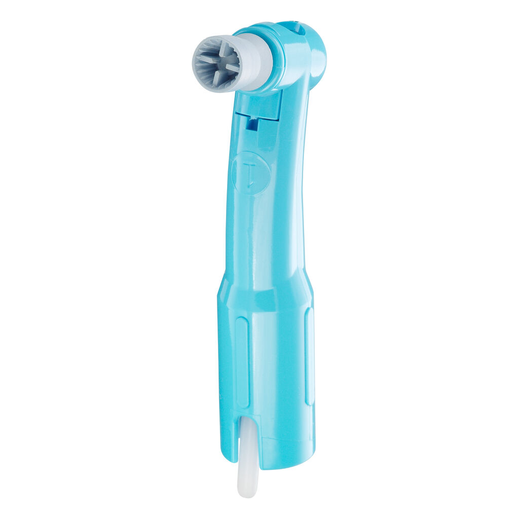 young-contra-petite-web-latex-free-firm-prophy-angle Young Innovations